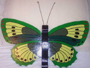 butterfly1-5.jpg