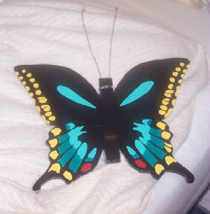 butterfly2-5.jpg